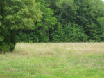 Lot 21 Piney Lane Clarksville, VA 23927 - Image 30