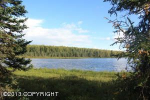 13322 W Cheri Lake Drive Big Lake, AK 99652 - Image 945