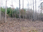 Lot 3 Occoneechee Lane Clarksville, VA 23927 - Image 1125