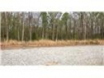 # Abbeyfield Lot 2 Maidens, VA 23102 - Image 1127