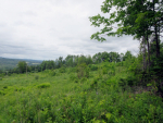 0 Duck pond rd Barton, VT 05822 - Image 1151