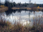 0 Atwood Rd Island Pond, VT 05846 - Image 1153