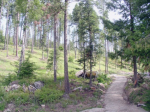 Lot #13 Forest Knolls Drive Sandpoint, ID 83864 - Image 1671