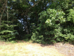 00 Baptist Campground Road Northport, AL 35476 - Image 1778