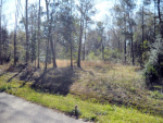 Lot 2 Halbert Drive Tickfaw, LA 70466 - Image 7801