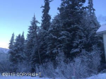 182 Taos Road Girdwood, AK 99587 - Image 7942