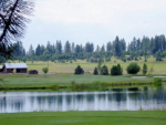 429 Wilhelm Creek Court Mccall, ID 83638 - Image 9462