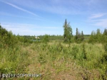 1164 N Beaver Lake Road Big Lake, AK 99652 - Image 11518