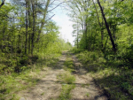 Lot 10 Quail Ridge Lane Knoxville, TN 37920 - Image 11888