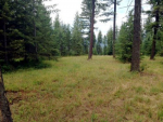 LT 5 BLK 2 Abeja RD Rathdrum, ID 83858 - Image 13172