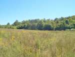 20.94 AC Rickman Road Livingston, TN 38570 - Image 19788