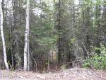 18170 Loveall Loop Clam Gulch, AK 99568 - Image 30463