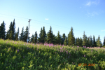 65240 Sterling Highway L28 Clam Gulch, AK 99568 - Image 30466