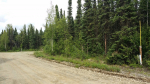 13327 N Canoe Way Willow, AK 99688 - Image 30687