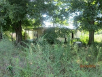 Co Rd #47 Killen, AL 35645 - Image 30890