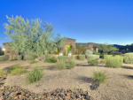 3236 N CANYON WASH Circle Mesa, AZ 85207 - Image 31517