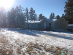 30 Rhyolite Ln Florissant, CO 80816 - Image 32193