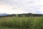 321 HWY 84 Pagosa Springs, CO 81147 - Image 32250