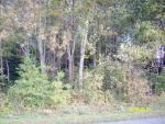 00 HOPKINS CEMETERY ROAD Felton, DE 19943 - Image 32879