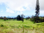 43-2014 KAAPAHU RD Honokaa, HI 96727 - Image 36048