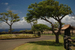 56-168 Pualani Road Hawi, HI 96719 - Image 36079