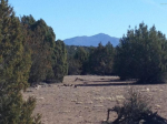 91 Humble Lane Ash Fork, AZ 86320 - Image 36594