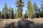 Lot 10 Timber Ridge Drive New Meadows, ID 83654 - Image 36801