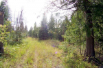 1180 HWY 57 Priest River, ID 83856 - Image 36980