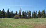 Lot 22 Timber Ridge Drive New Meadows, ID 83654 - Image 36945