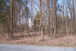 Lot 202 Frontier Lane Cadiz, KY 42211 - Image 38076