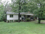 12453 Peter Moore Ln De Soto, MO 63020 - Image 40524