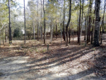 Lot 13 Wateford Hattiesburg, MS 39402 - Image 41084