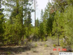 Lot 1 Paul Dr La Pine, OR 97739 - Image 46041