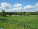 4280 TOWNSHIP LINE RD #LOT 2 Newtown, PA 18940 - Image 46188