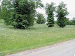 Lot 17 Waterwood Ct White Pine, TN 37890 - Image 47747