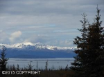 54247 Walters Court Homer, AK 99603 - Image 53453