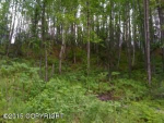 18435 W Jenny Lane Big Lake, AK 99652 - Image 73262