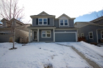 3738 Dinosaur St Castle Rock, CO 80109 - Image 79748