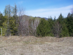 Lot 14 Appletree Lane Richmond, VT 05477 - Image 81790