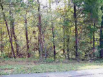 LOT 6 FANCHER ROAD Newport, TN 37821 - Image 84519