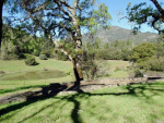 3860 Lake County Hwy Calistoga, CA 94515 - Image 85314