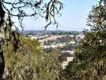 2310 Battering Rock Road Templeton, CA 93465 - Image 86746