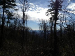 Lot 28 Reynolds Mountain (Apn# 9741 Asheville, NC 28804 - Image 88181