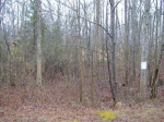 Lot 87 Mockingbird Drive (Apn# 0506 Waxhaw, NC 28173 - Image 89056