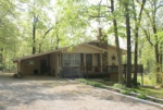 28 Shady Lane Ash Flat, AR 72513 - Image 93028