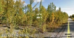 11613 W Wasey Way Big Lake, AK 99652 - Image 125427