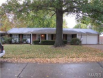 736 Gascogne Dr Saint Louis, MO 63141 - Image 142845