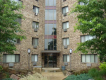 5306 N Cumberland Ave Apt 401 Chicago, IL 60656 - Image 146433