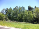 Lot 23 Wildcat Trace Paducah, KY 42003 - Image 147685