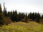 1500 Jade Drive Homer, AK 99603 - Image 148010